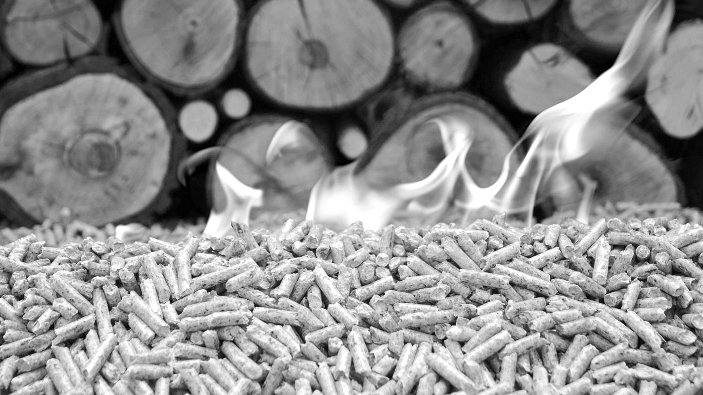 Pellets, legna e combustibili